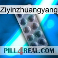 Ziyinzhuangyang 30